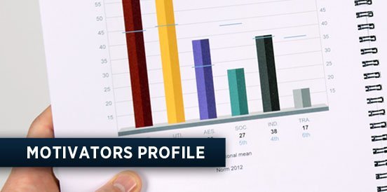 MOTIVATORS PROFILE in PERSONAL RELATIONSHIPS