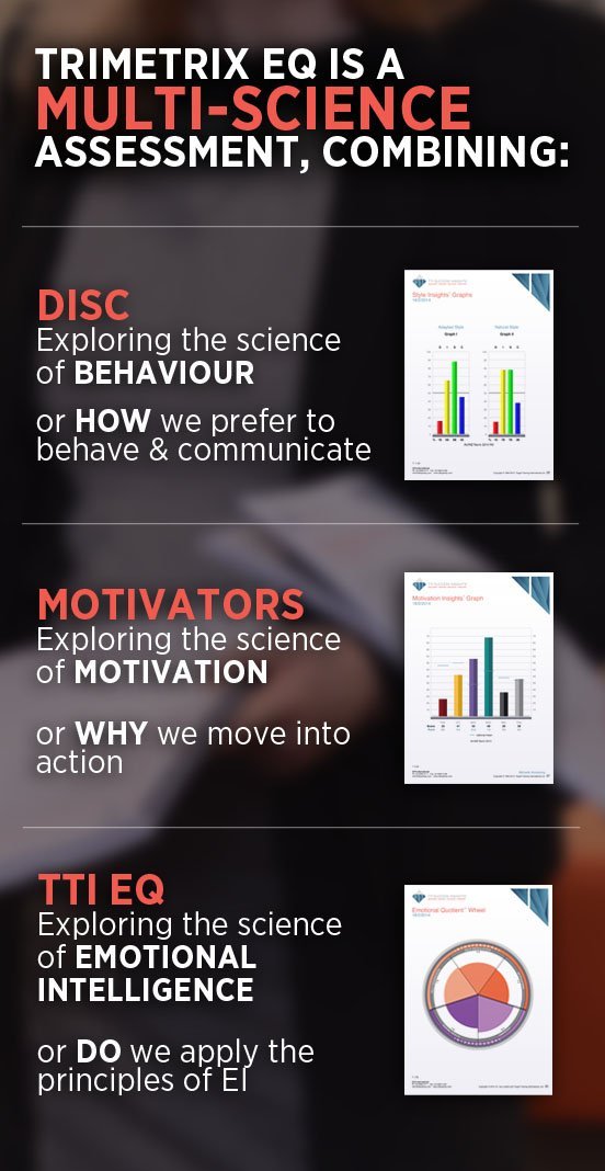 TriMetrix EQ â€“ Behaviours Motivators Emotional Intelligence Assessment