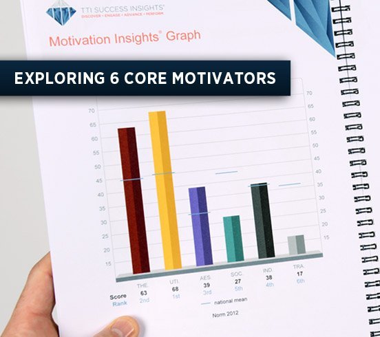 TriMetrix HD - Motivators Profile